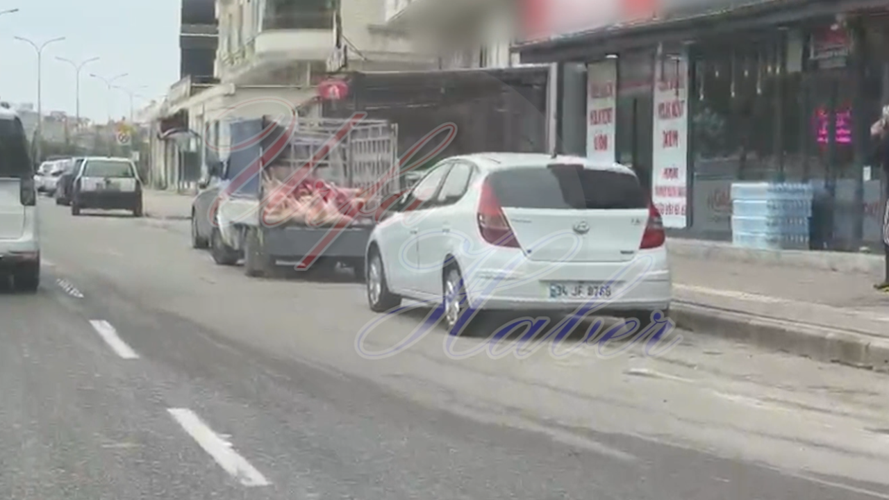 Şanlıurfa’da Hijyen Skandalı: Etler Açıkta Taşındı