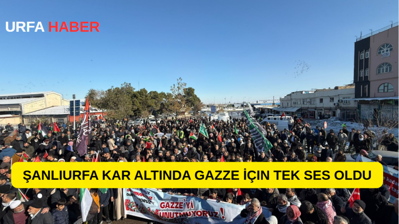 Şanlıurfa Kar Altında Gazze İçin Tek Ses Oldu