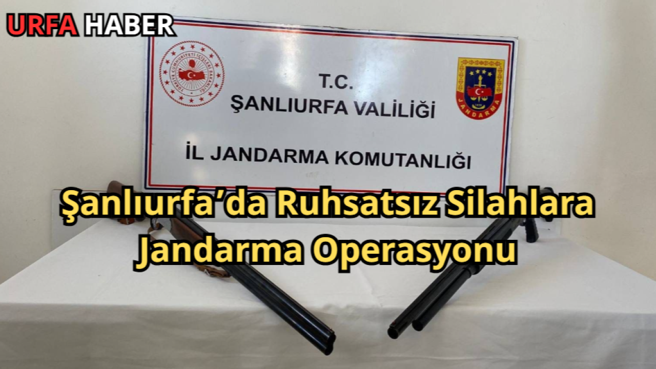 Şanlıurfa’da Ruhsatsız Silahlara Jandarma Operasyonu