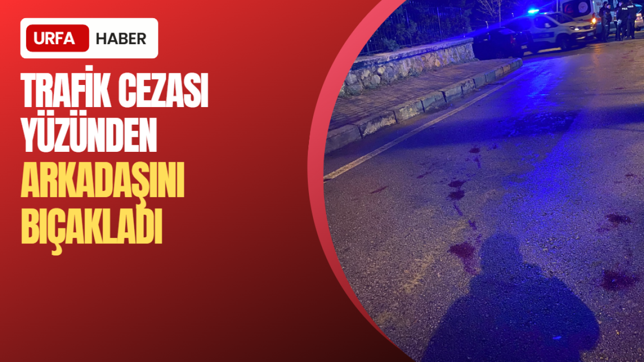Trafik Cezası Yüzünden Arkadaşını Bıçakladı