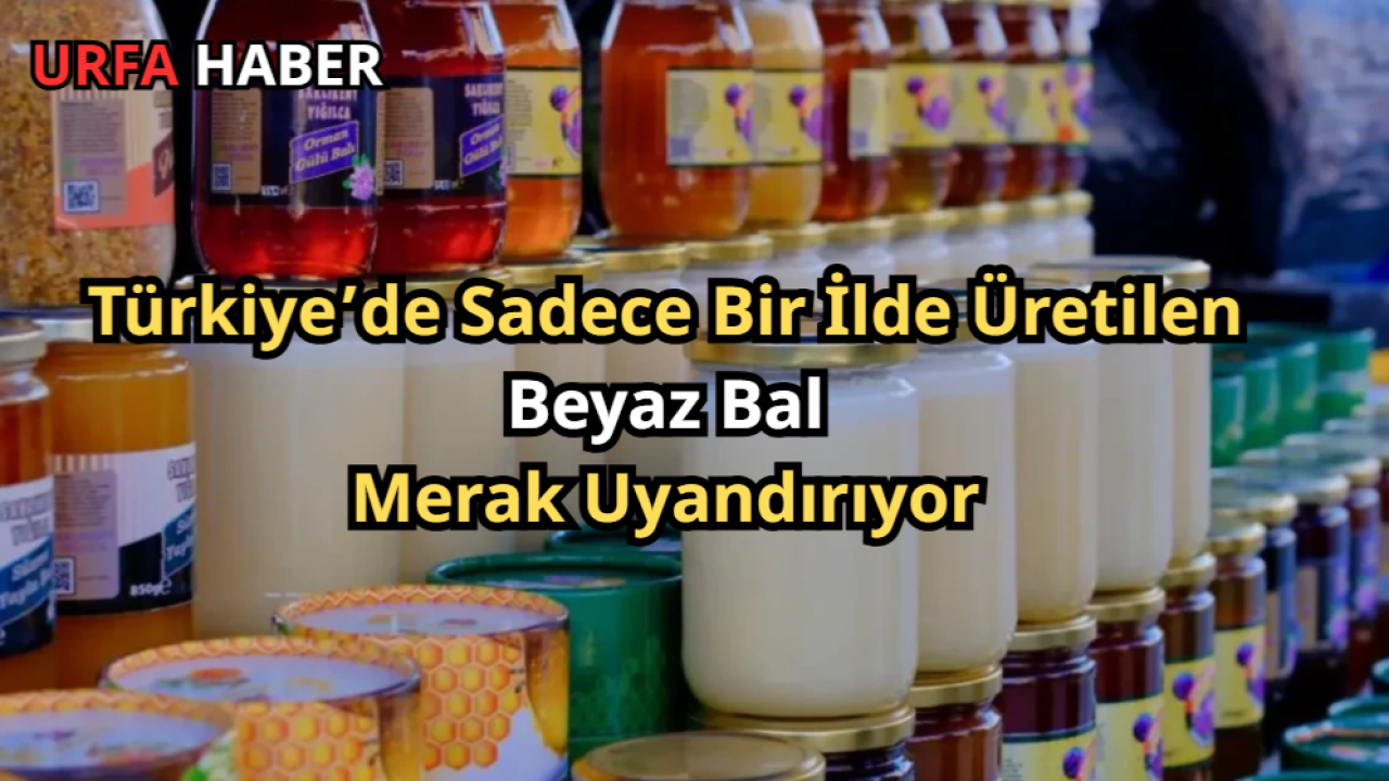 Türkiye’de Sadece Bir İlde Üretilen Beyaz Bal Merak Uyandırıyor