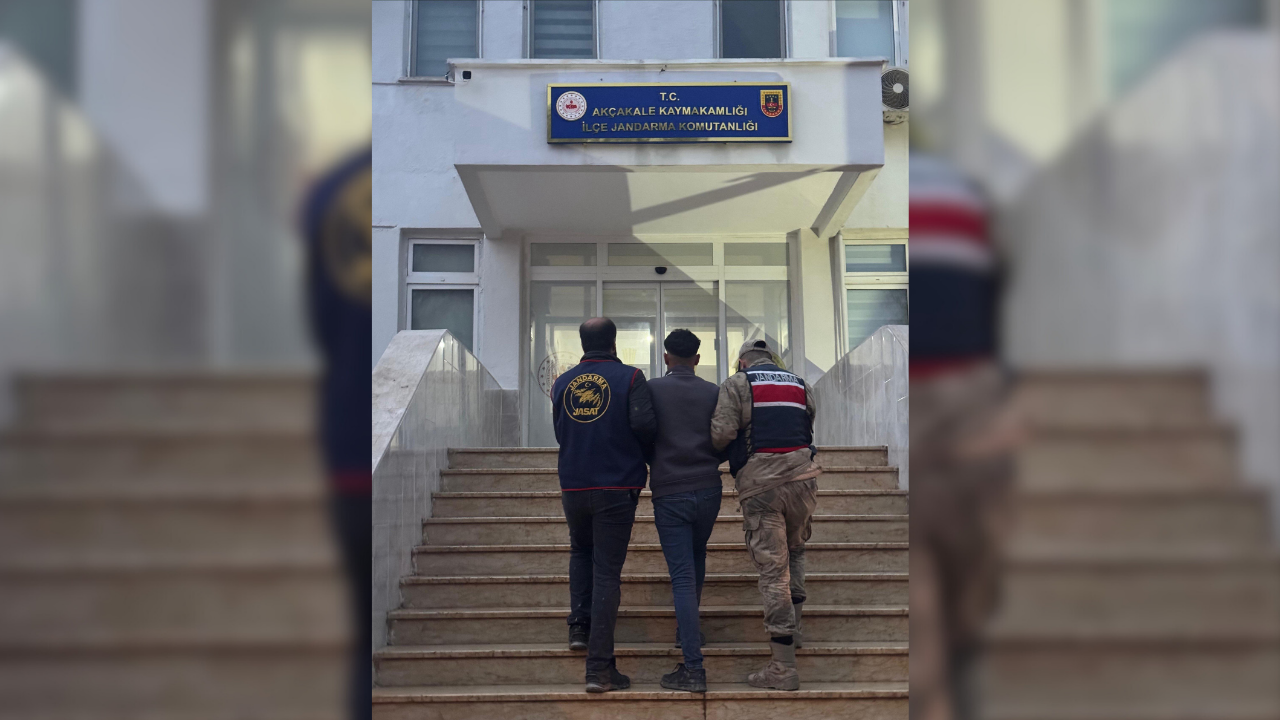 Şanlıurfa’da 70 Milyon TL’lik dolandırıcılık operasyonu!