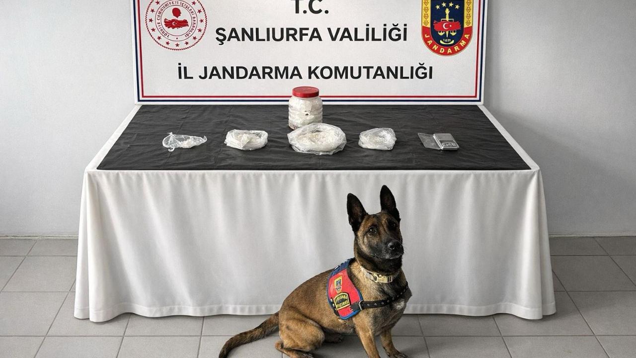Şanlıurfa'da uyuşturucu operasyonu