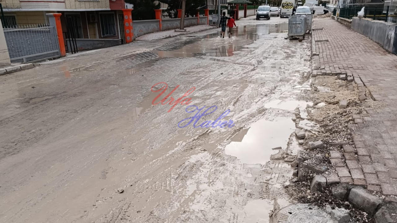 Urfa'da vatandaş dertli: Kışın çamurlu, yazın tozlu!