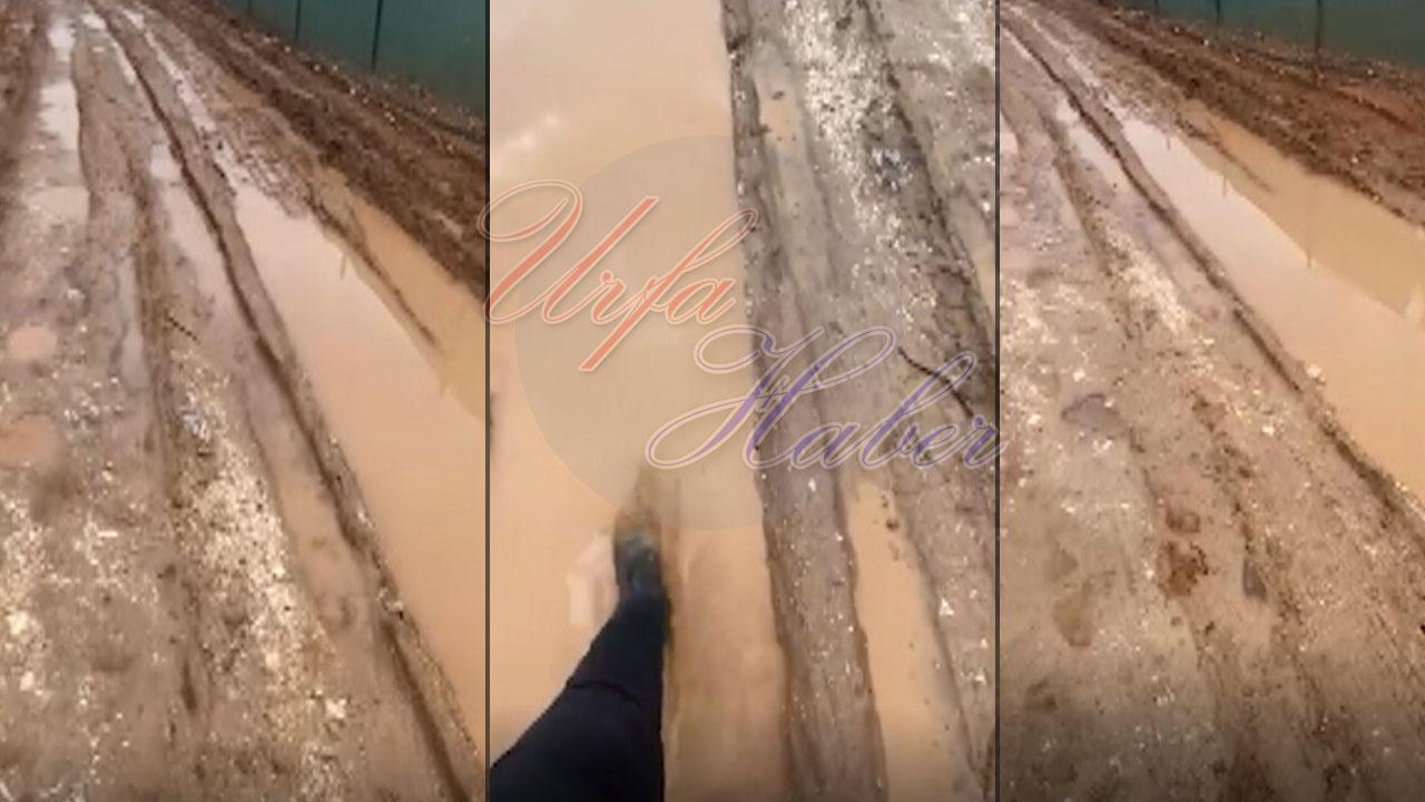 Vatandaş dertli: Urfa kırsalındaki yollar çamur deryası!