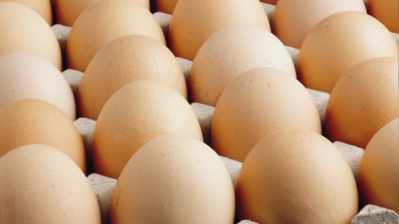 Yumurta üretiminde düşüş yaşandı!