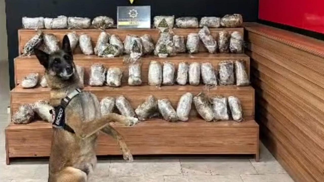 Şanlıurfa'da operasyon: kilolarca uyuşturucu ele geçirildi!