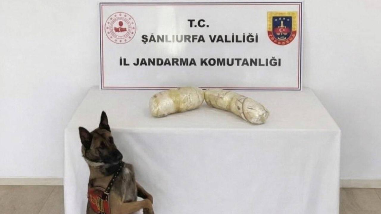 Şanlıurfa'da uyuşturucu operasyonu!