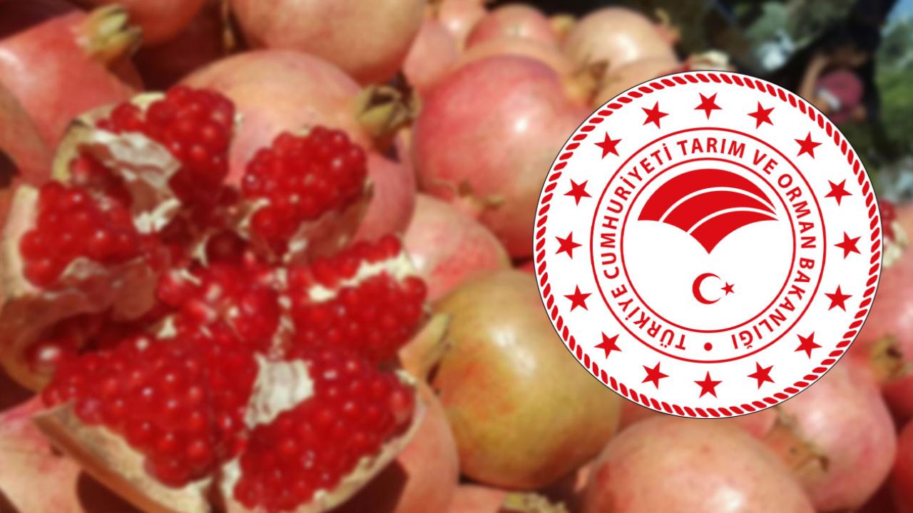 Bakanlıktan dikkat çeken Suruç paylaşımı!
