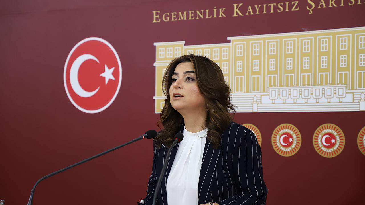 DEM Parti'li Koçyiğit'ten 'Terörsüz Türkiye' sürecine ilişkin kritik açıklama!