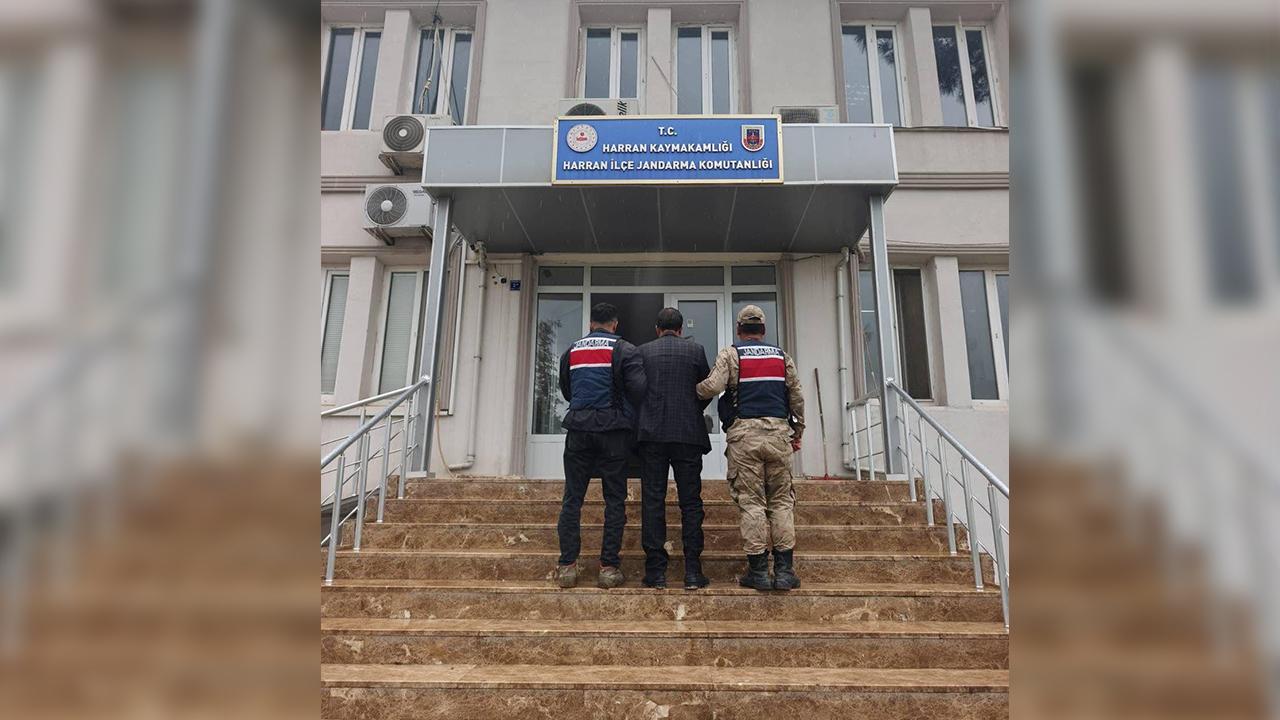 Urfa'da aranan firari hükümlü yakalandı!