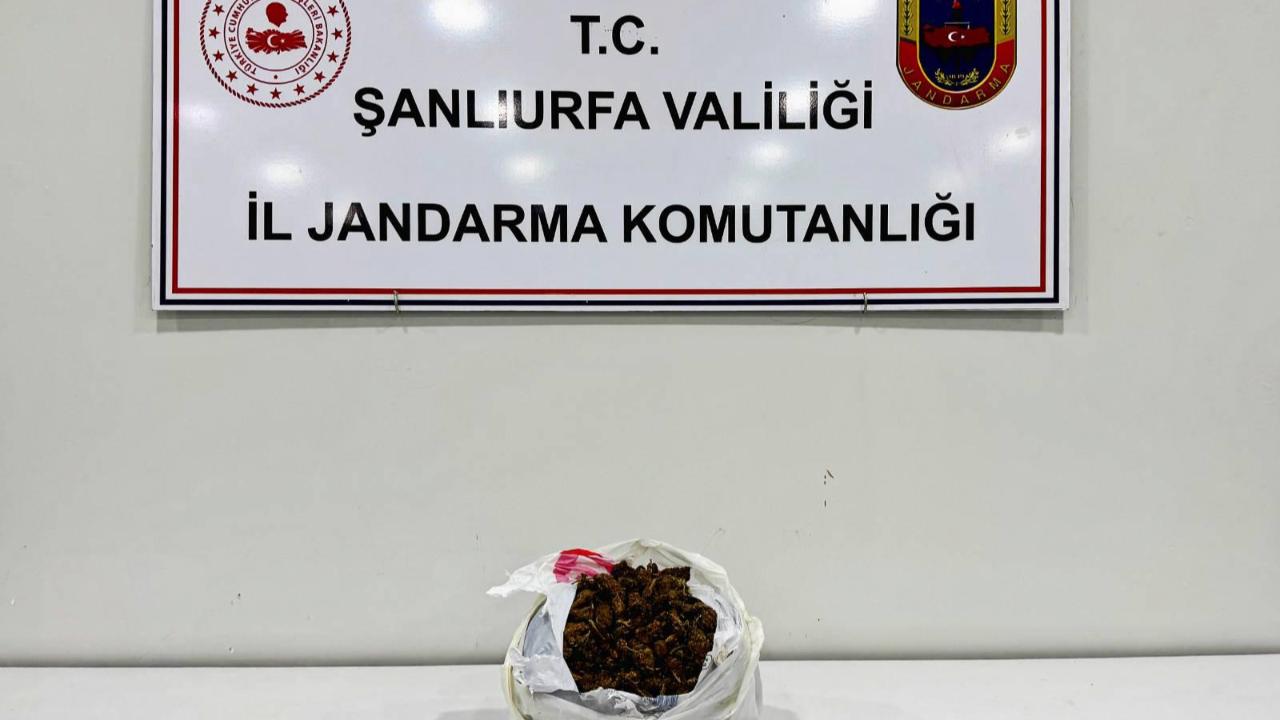 Urfa'da bir araçta çok miktarda uyuşturucu ele geçirildi!