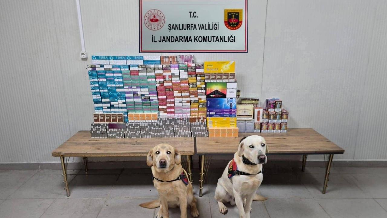 Urfa'da kaçakçılık operasyonu: Çok sayıda şahsa işlem!