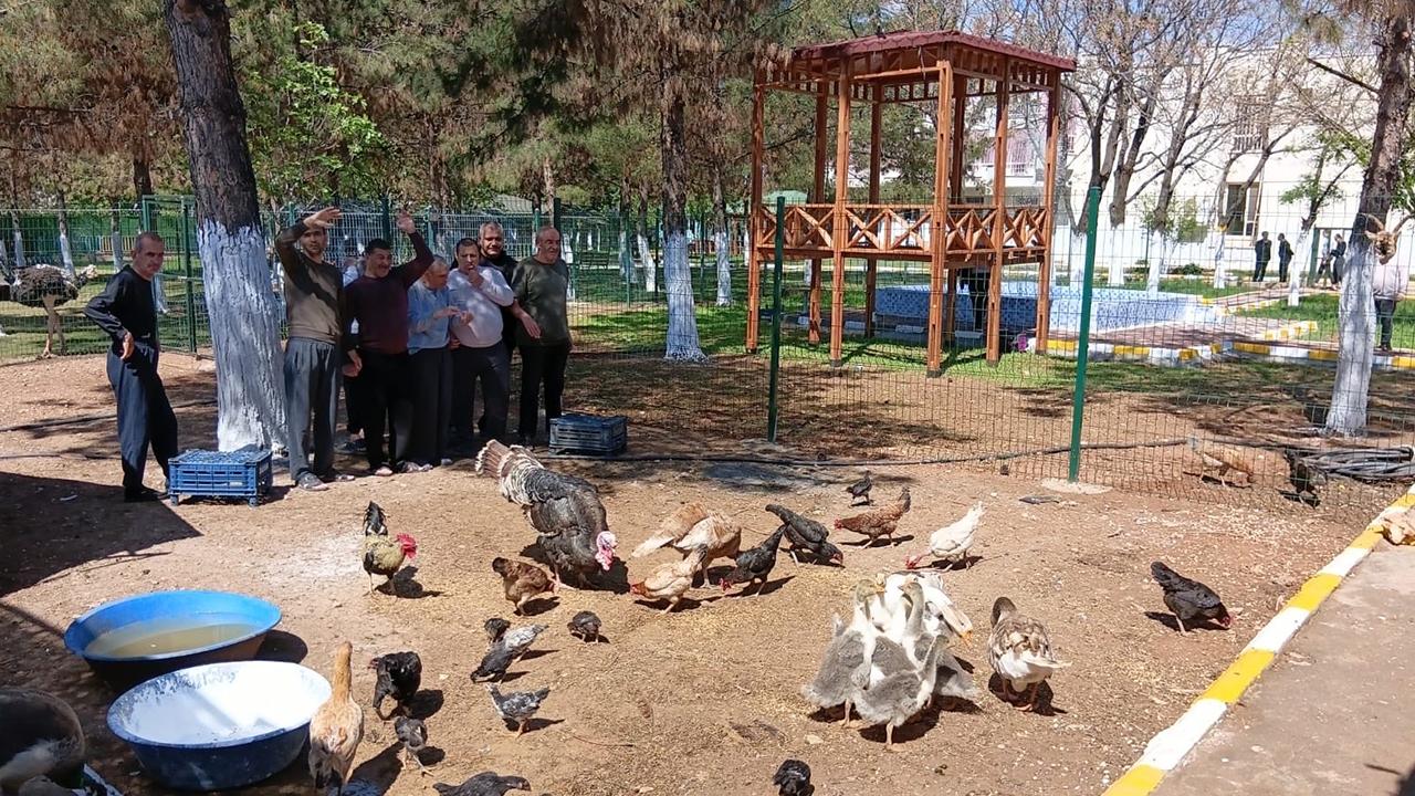 Urfa'da özel bireyler için hayvan destekli rehabilitasyon!