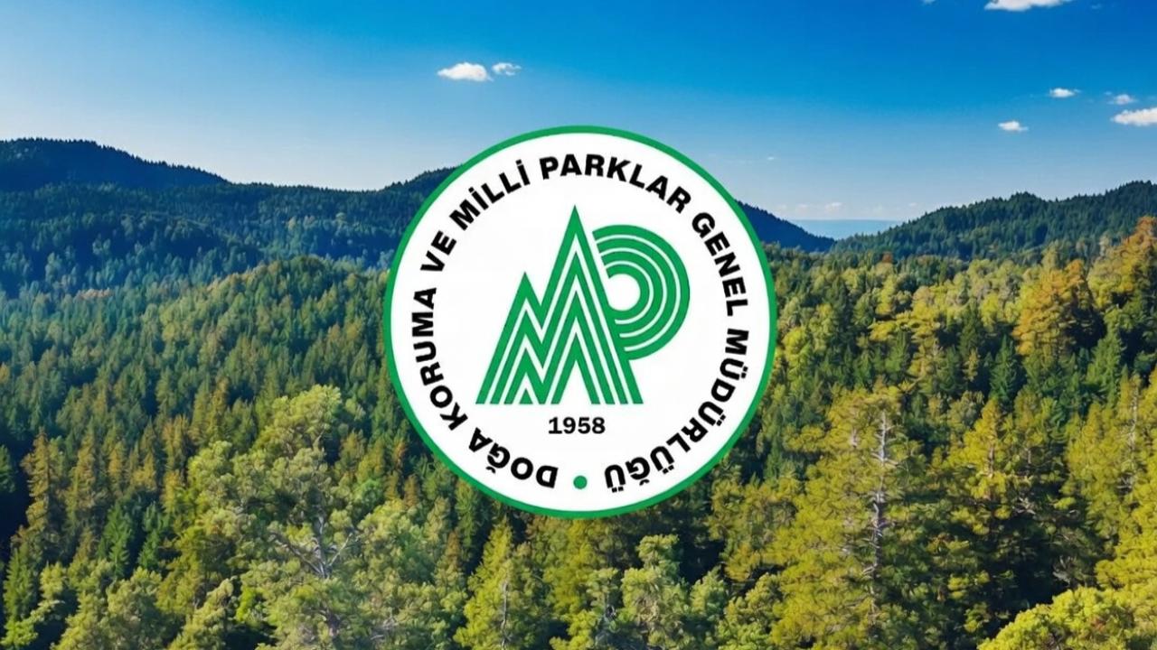 92 sözleşmeli personel alınacak!