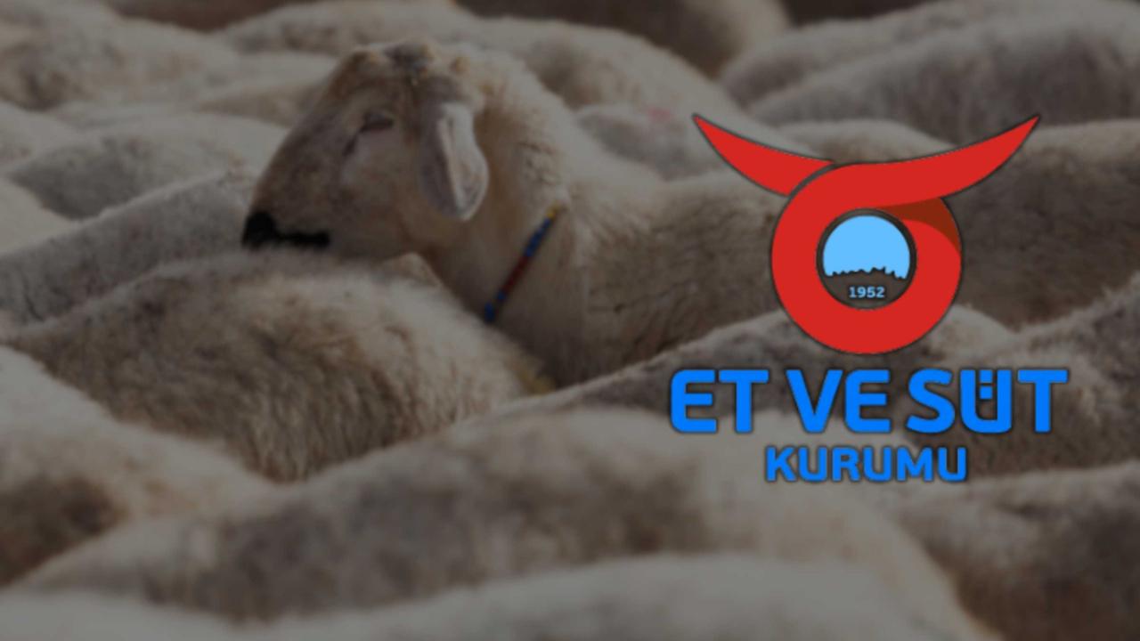 Bakan Yumaklı duyurdu: Satılamayan kurbanlıklar elde kalmayacak!