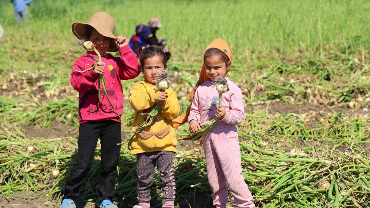 Çocuk işçi gerçeği: Eğitim yerine ekmek mücadelesi!