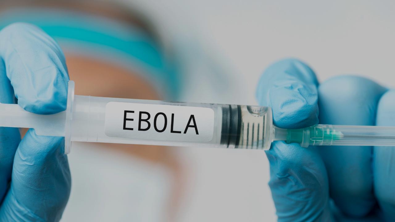 Ebola salgını şüphesi yayılıyor!