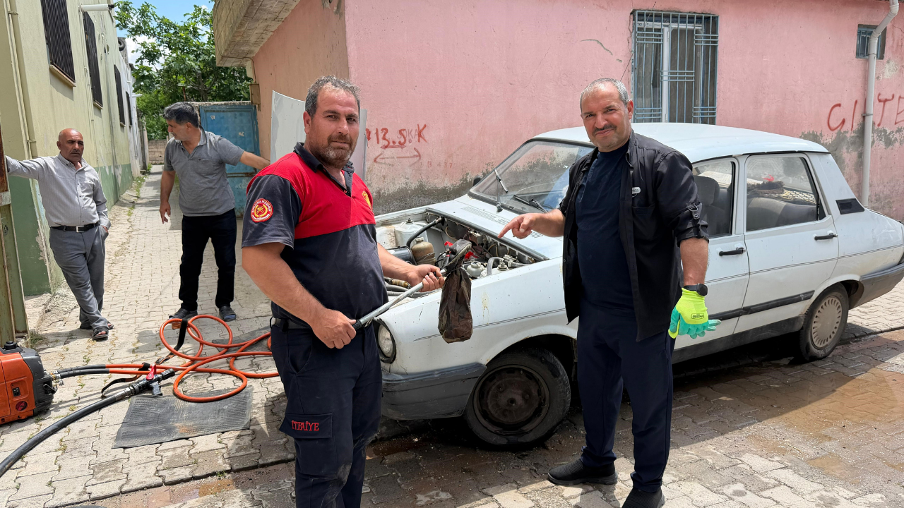 Otomobilin motoruna girdi: Ekipler tarafından çıkarıldı!