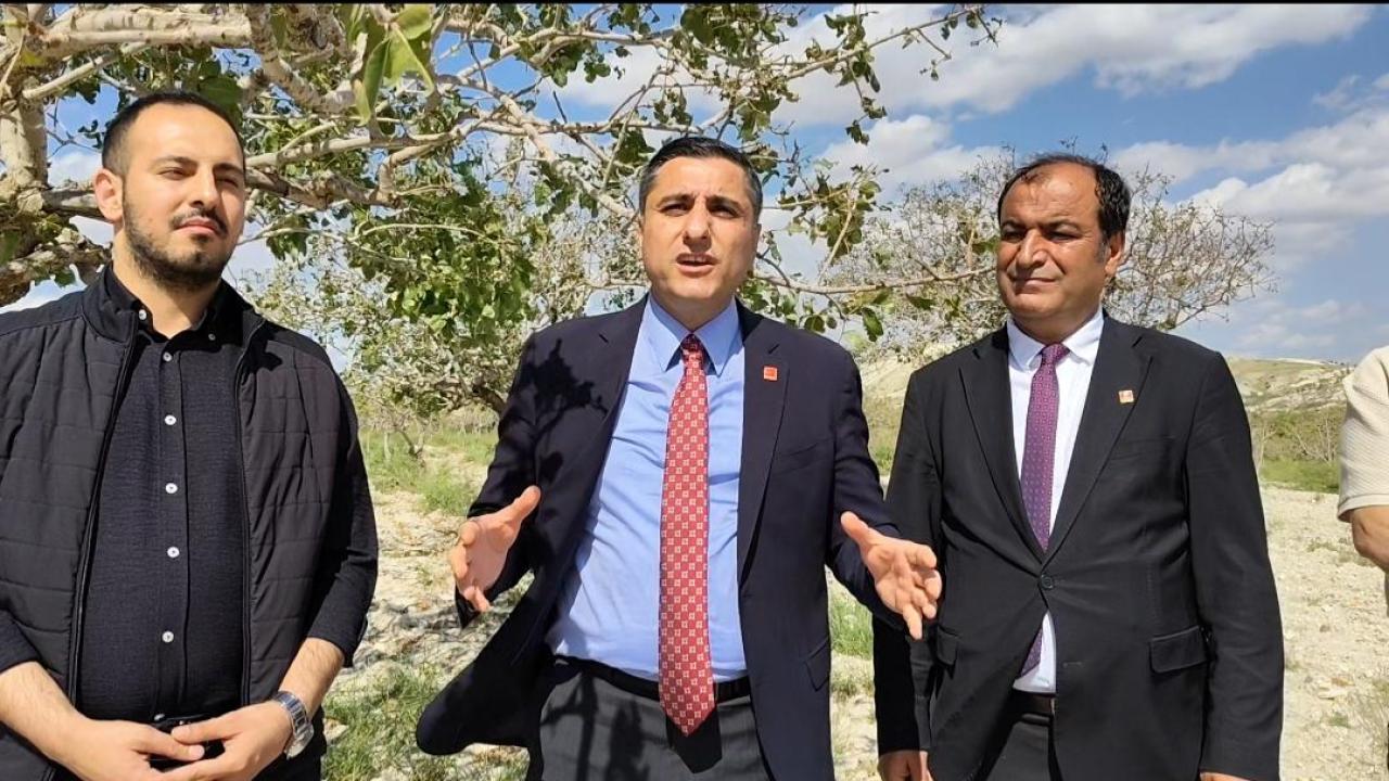 Birecik'te dolu felaketi: Üretiçiler destek bekliyor!