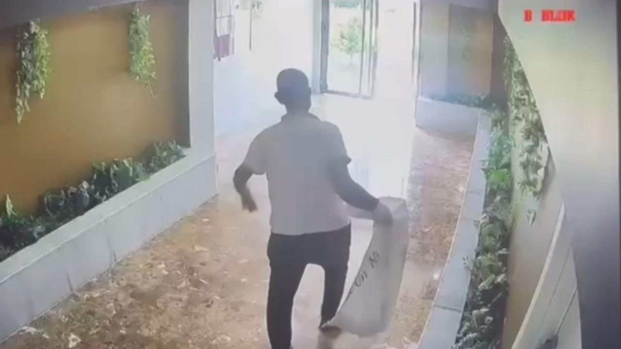 Şanlıurfa'da kedilerini arayan kadın kamerada gerçeği gördü!