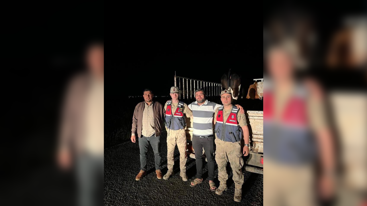 Urfa'da kayıp ihbarı verildi: Jandarma harekete geçti!