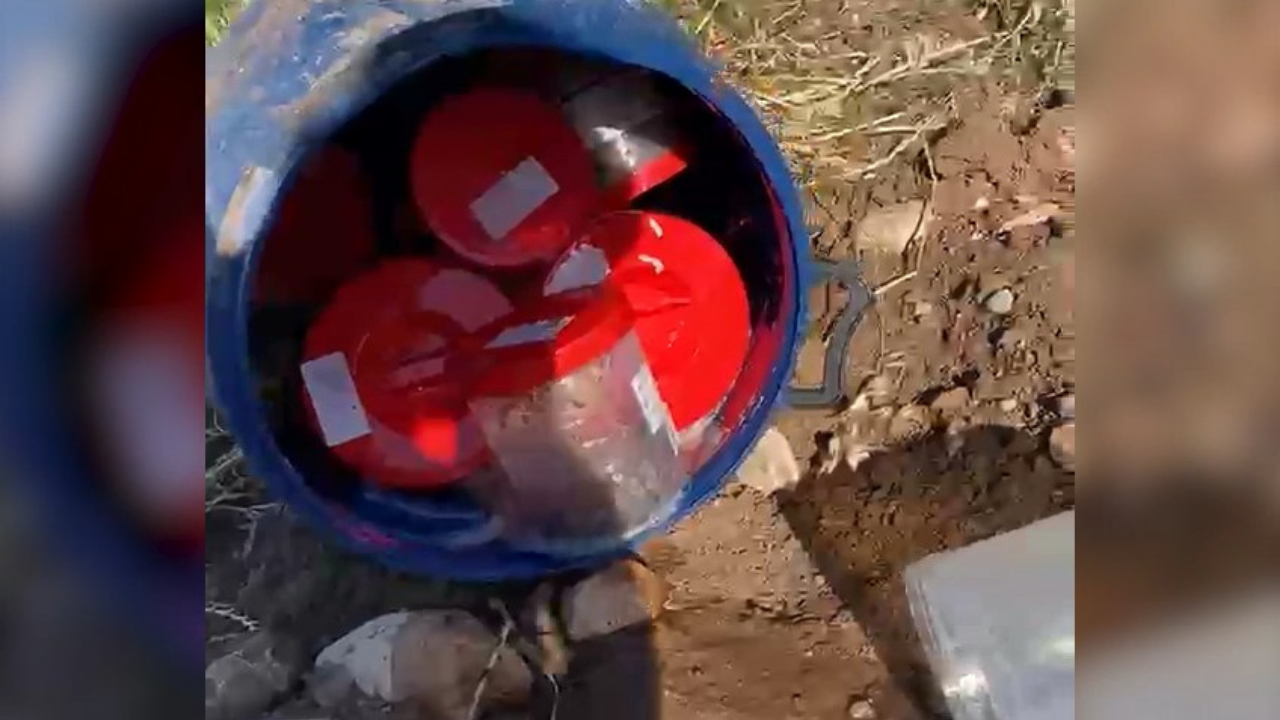 Urfa'da plastik varilden çıkanlar kan dondurdu!