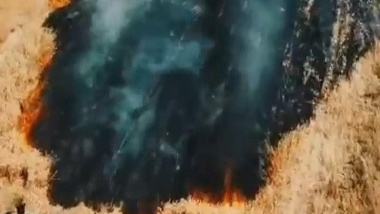 Bir anız yangını daha!