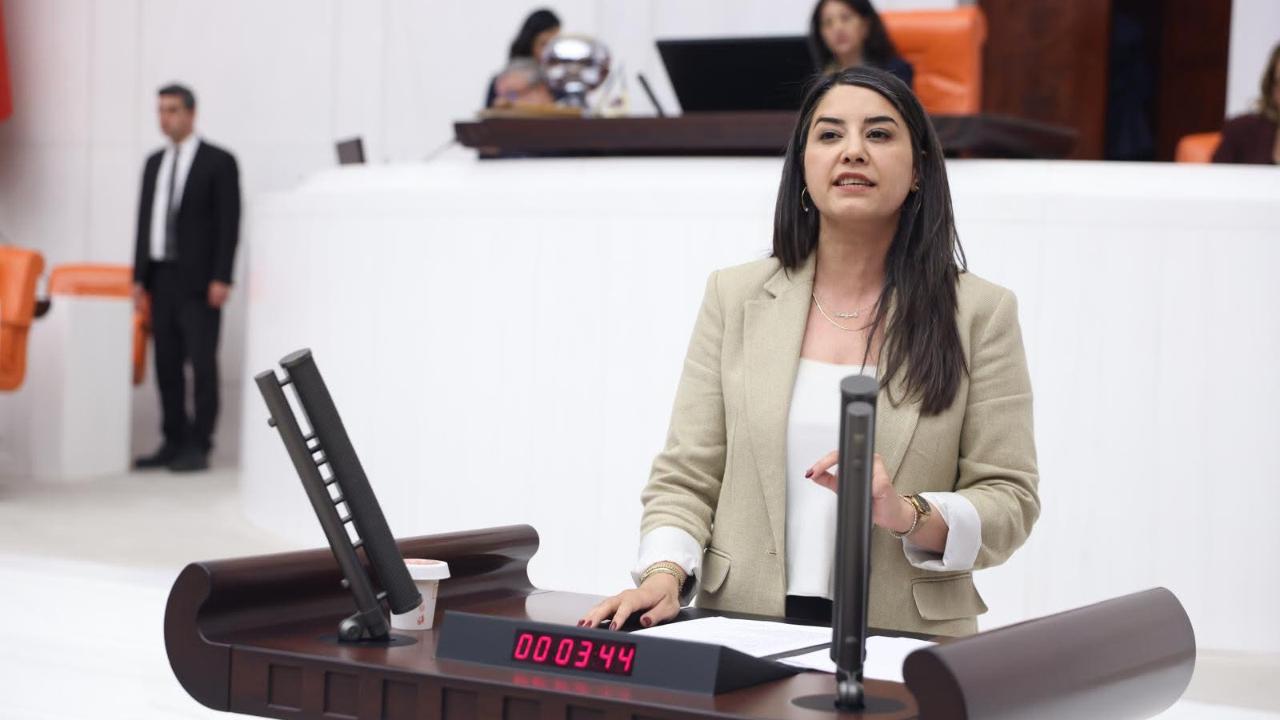 Milletvekili Ayan Şanlıurfa'daki boğulma vakalarını meclis gündemine taşıdı!