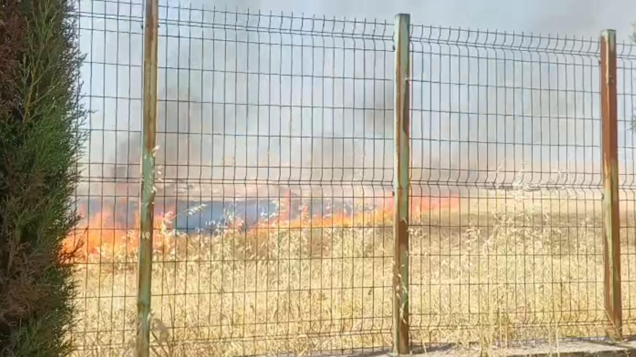Şanlıurfa'da anız yangını!
