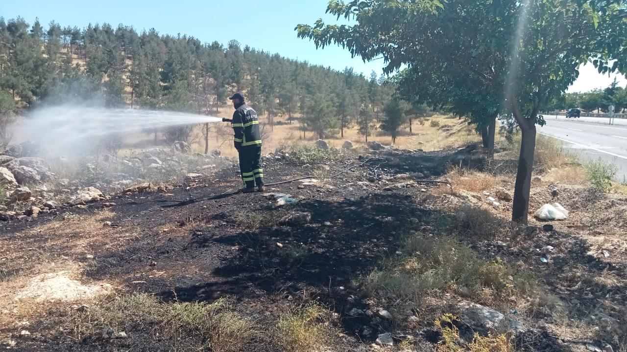 Şanlıurfa'da korkutan orman yangını!