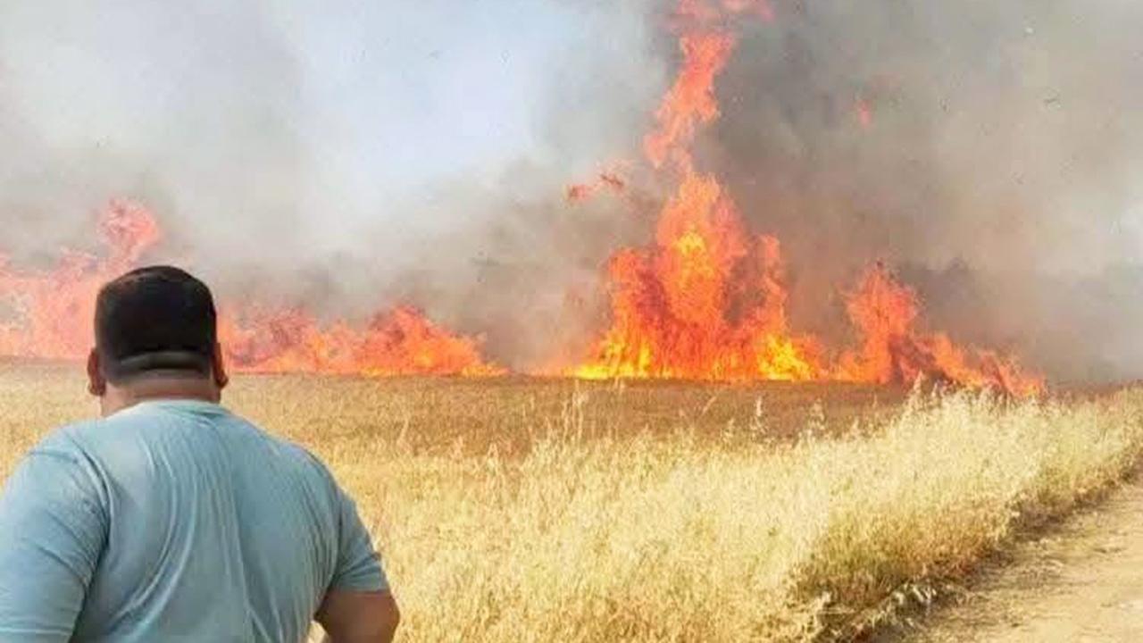 Urfa'da buğday tarlasında yangın!