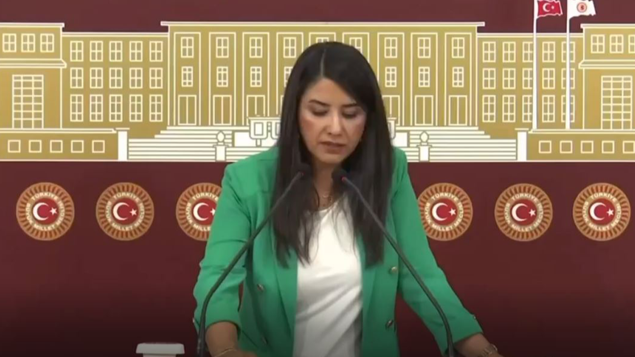 Vekil Ayan, boğulma vakalarını Meclis gündemine taşıdı!