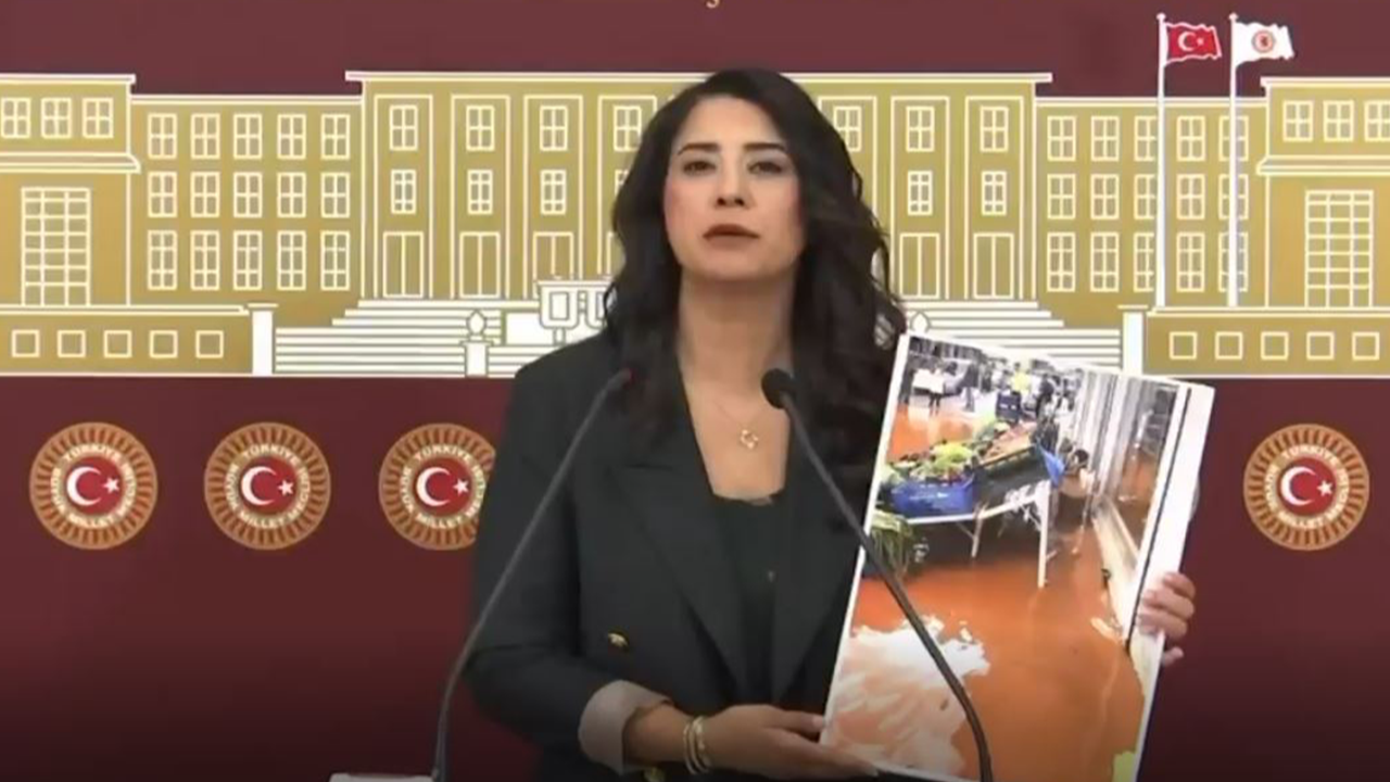 Vekil Ayan: "Kayyum zulmü halka reva değildir"