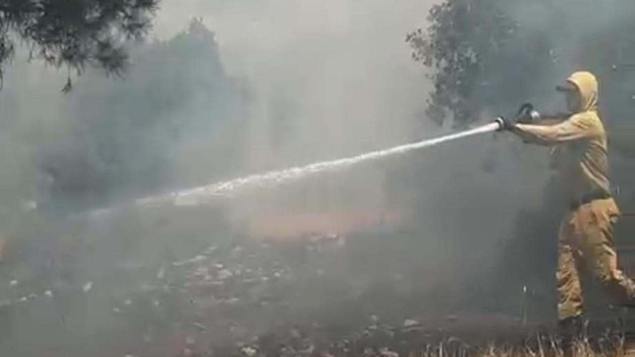 Zeytinlikte çıkan yangın ormana sıçradı!