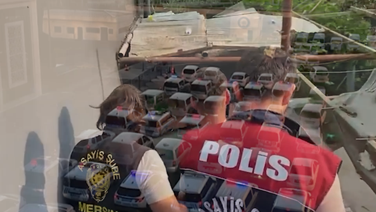 23 ilde dev dolandırıcılık operasyonu! Yüzlerce şüpheli yakalandı!
