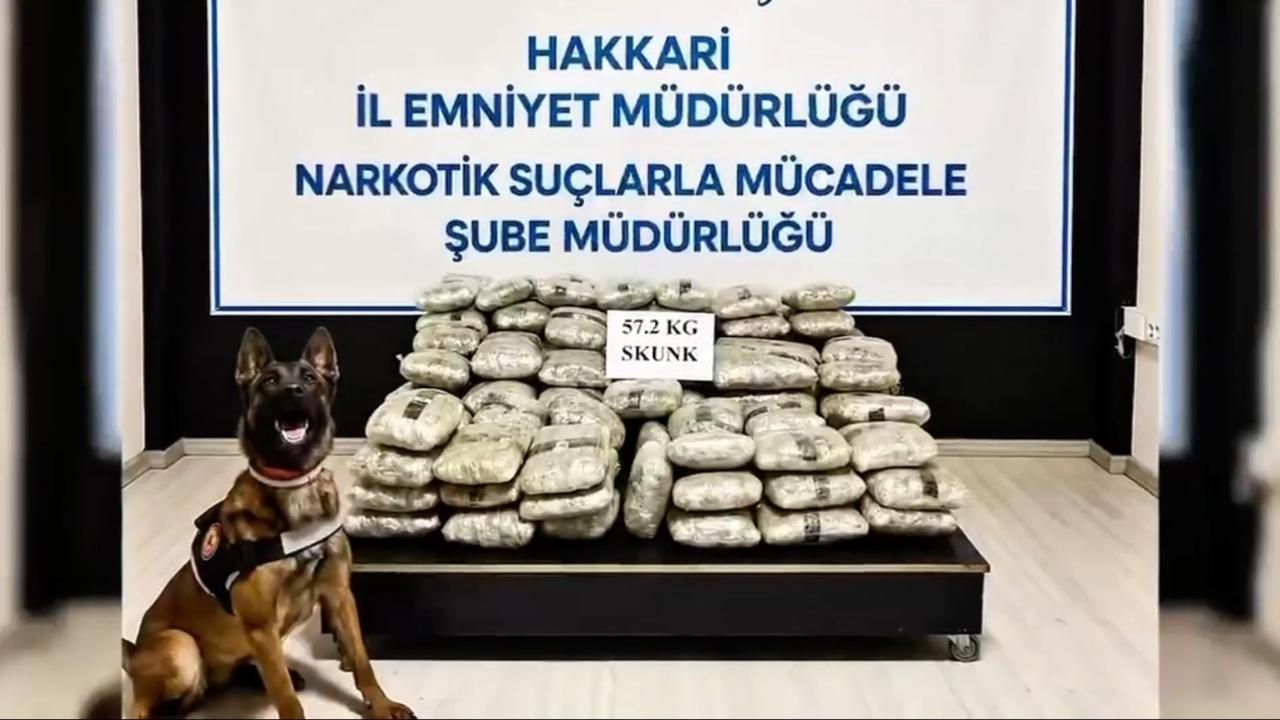 73 ilde dev uyuşturucu operasyonu!