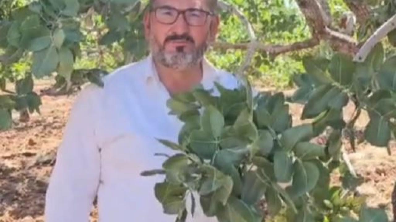 Şanlıurfalı fıstık üreticisi isyan etti!