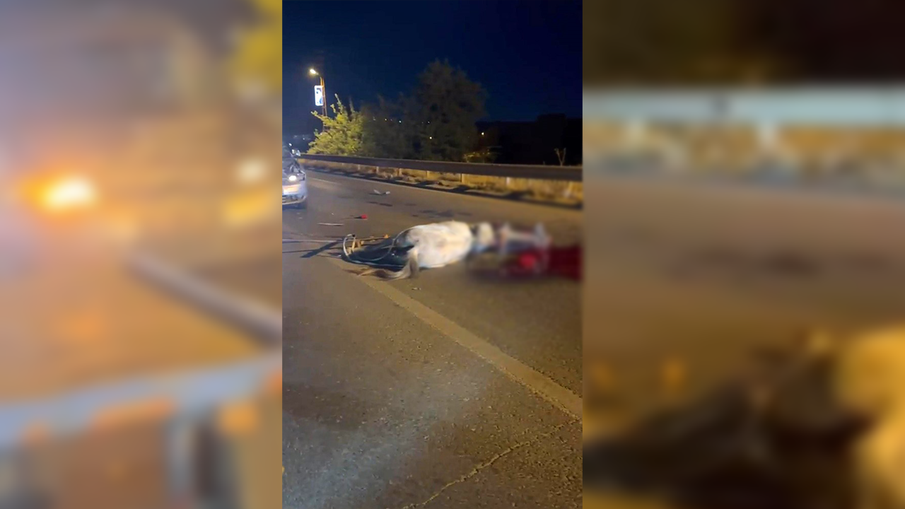 Urfa'da aracın çarptığı at telef oldu!