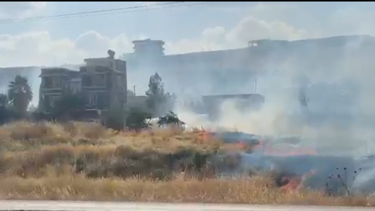 Urfa'da korkutan yangın! 500 dönümlük otluk alan küle döndü!