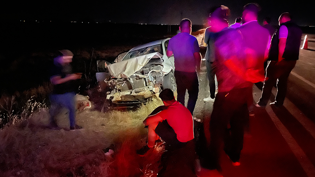 Urfa'da otomobil koyun sürüsüne daldı!