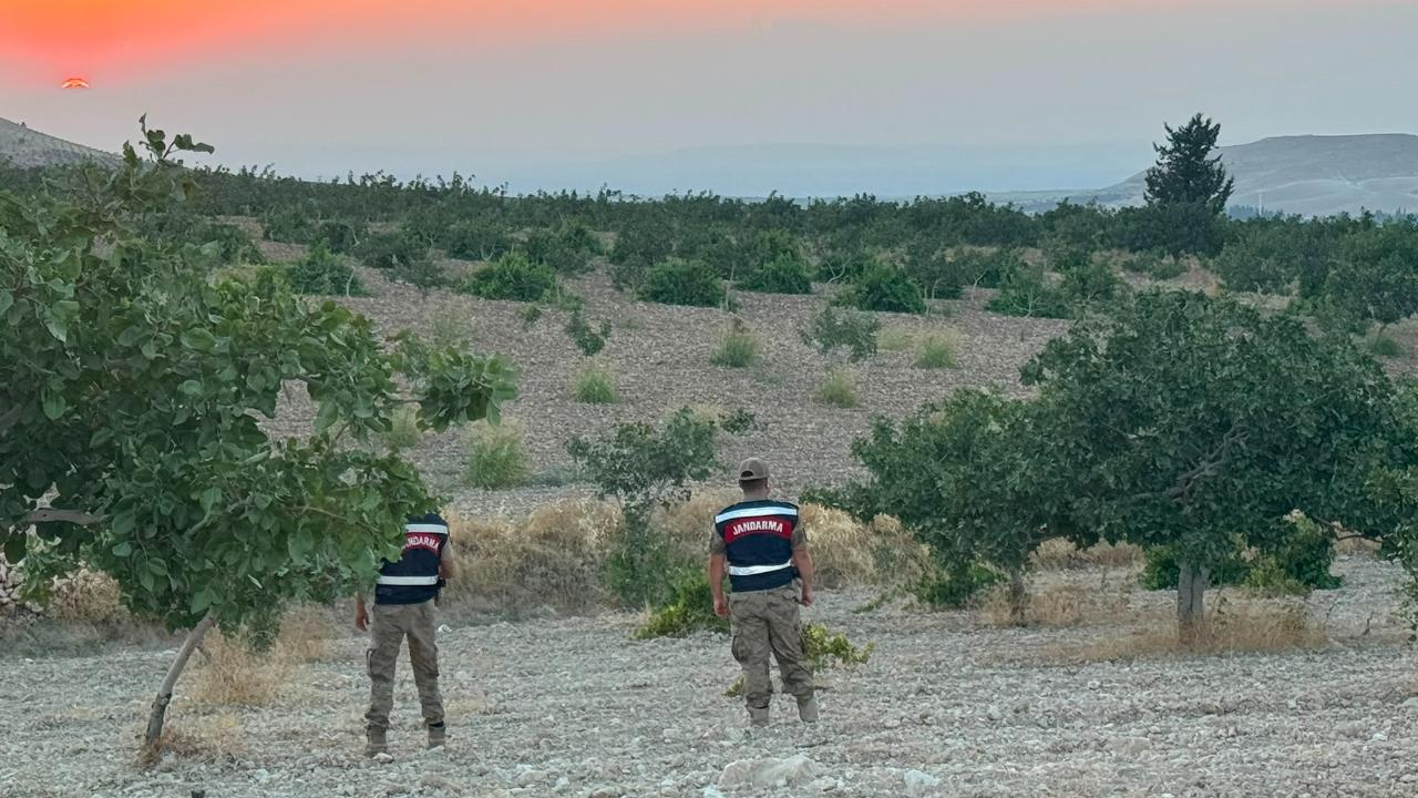 Şanlıurfa jandarmasından fıstık önlemi!