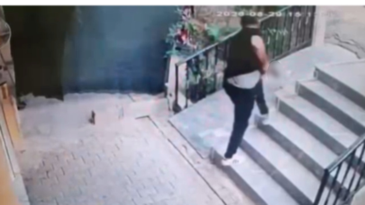 Urfa'da çocuk kavgasında tabanca çeken şahıs tutuklandı!