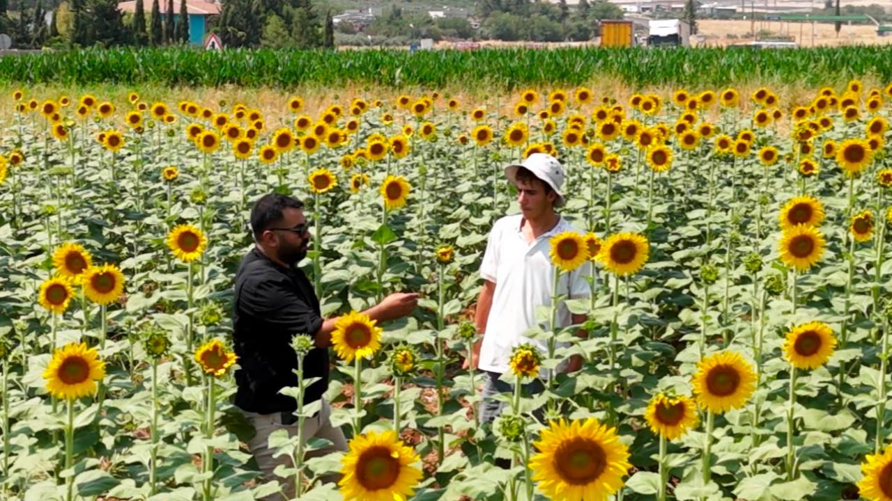 Şanlıurfa’da ürün çeşitliliği zirveye çıktı!