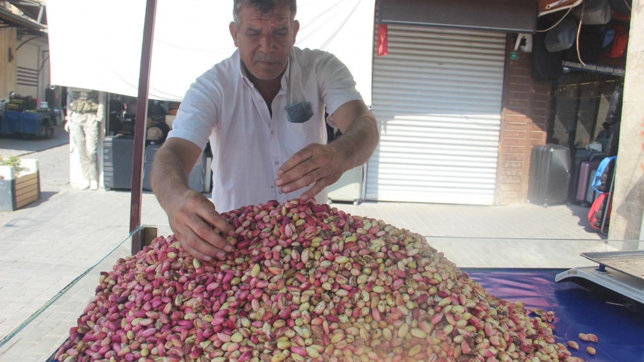 Urfa'da fıstık hasadı yapıldı: Fiyatlar cep yaktı!