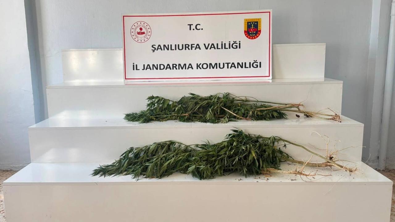 Viranşehir’de JASAT’tan operasyon!
