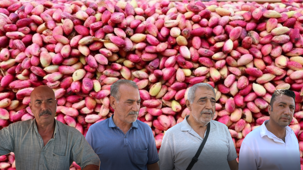 Urfa’da üretimde ilk sıralarda! Fiyatı cep yakıyor!