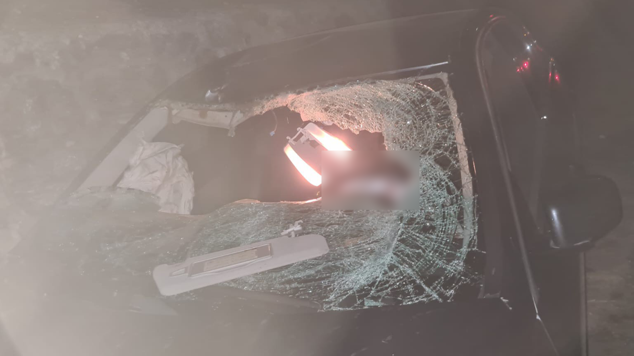 Yola çıkan ineğe çarpan otomobil takla attı: Yaralılar var!