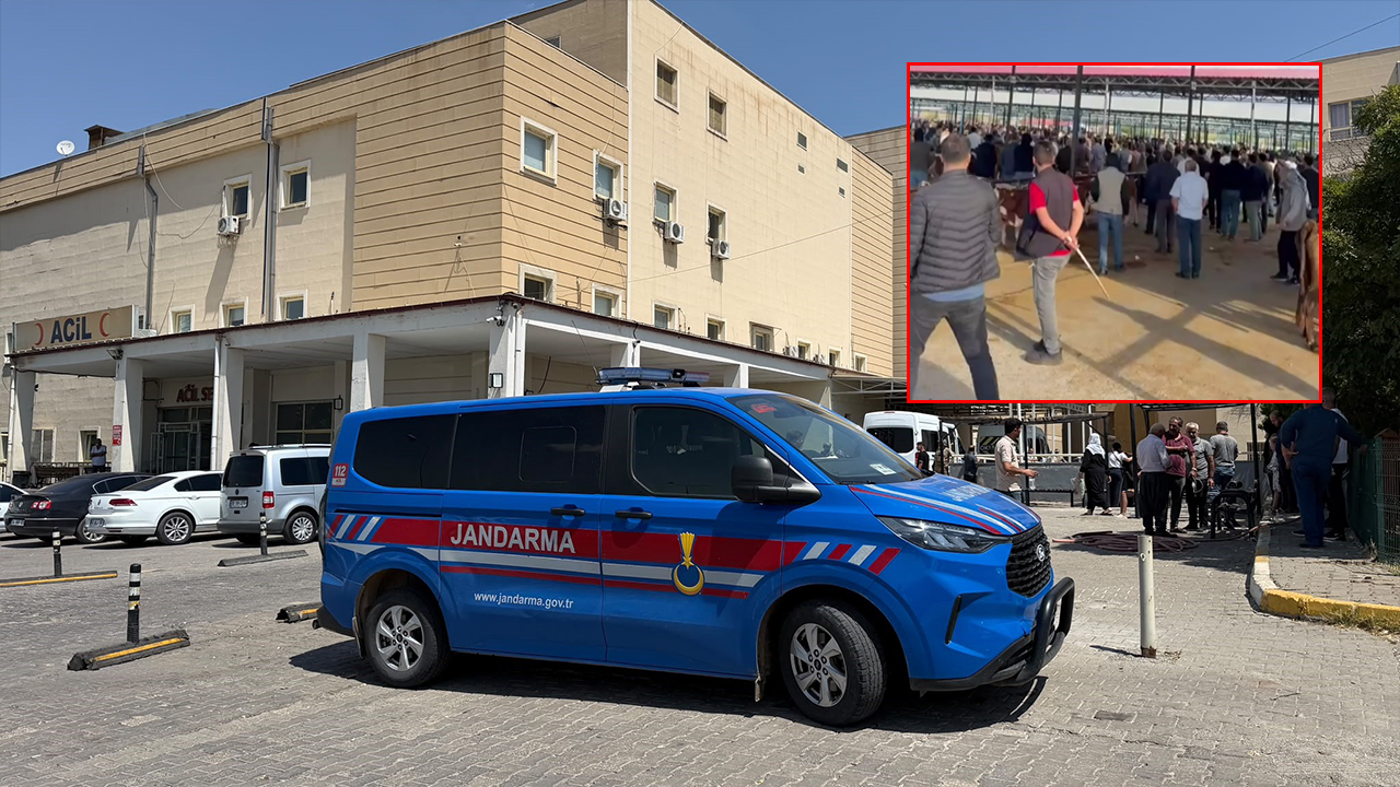 Hayvan pazarında kavga!