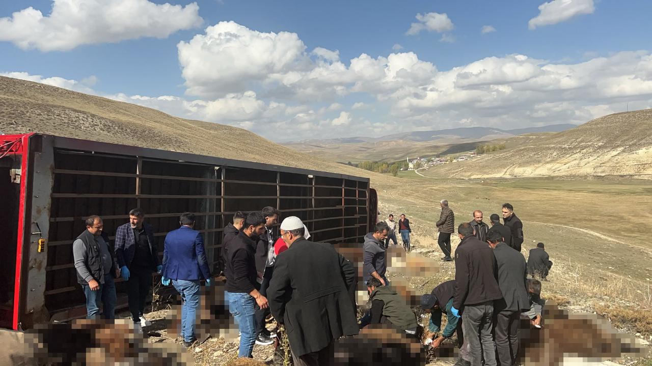Hayvan yüklü TIR devrildi: 130 küçükbaş hayvan telef oldu!